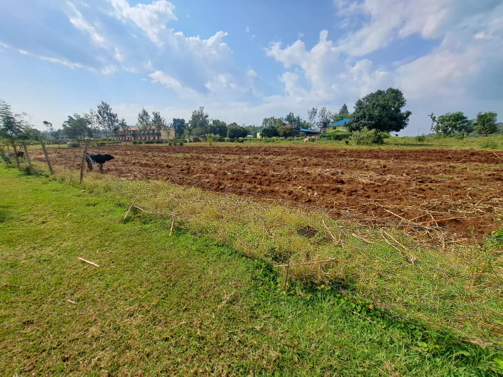 Huruma Dolor on-site farm