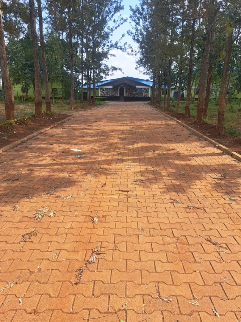 Tree-lined campus pathway